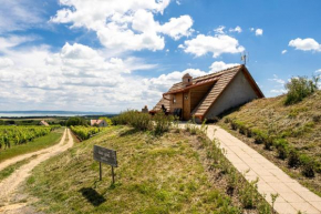 Tagyon Birtok Kései szüret Apartmanház, Tagyon